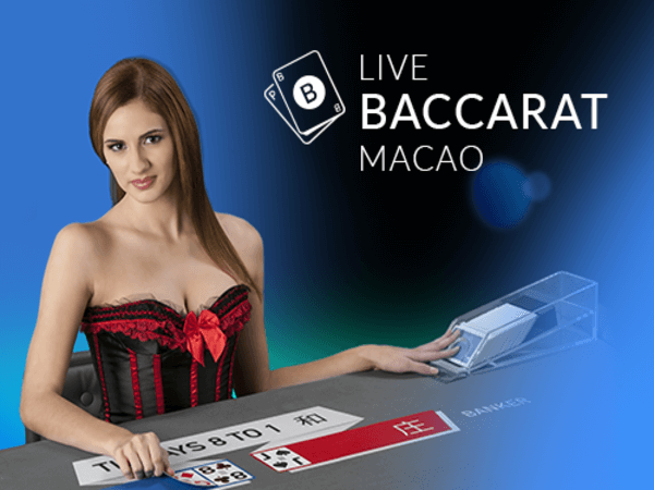 bodog cassino